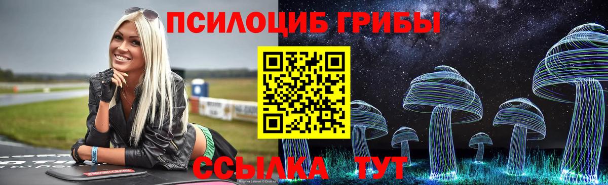 Псилоцибиновые грибы прущие грибы Балтийск